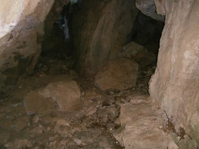 Fotografia de LLADRE, COVA DEL (2 de 3)