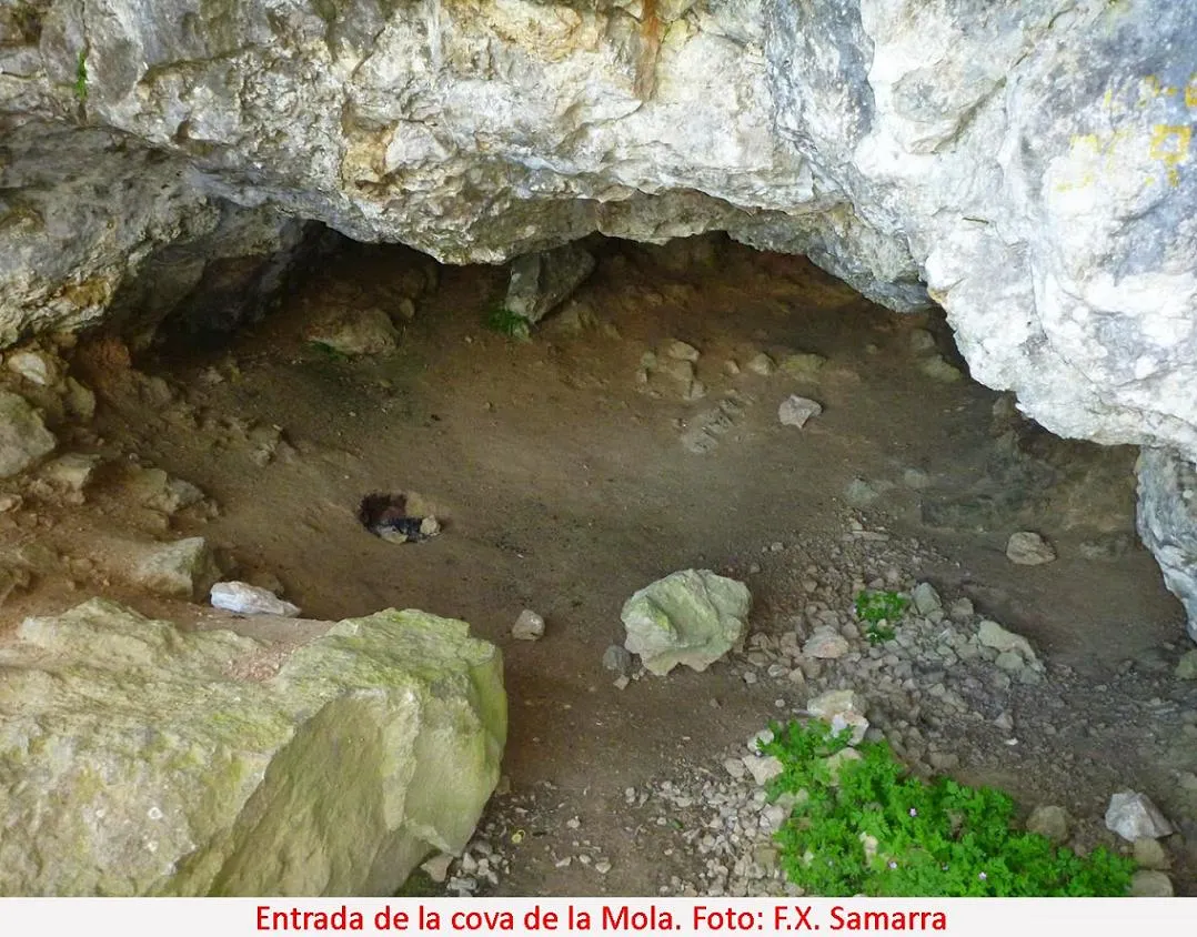 Fotografia de MOLA, COVA DE LA (2 de 4)