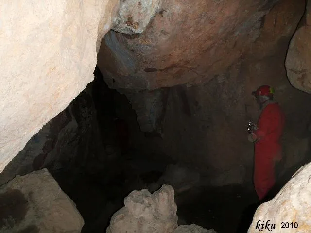 Photographie de FREDA, COVA (6 sur 8)