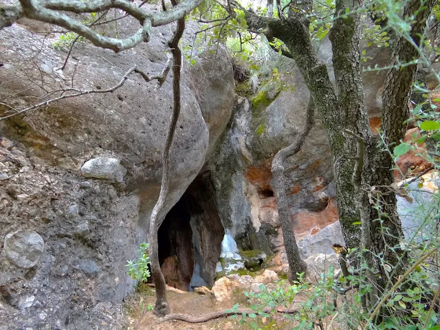 Fotografia de TURÓ DEL MAL PAS DE PUIGDOURE, COVA DEL (1 de 1)