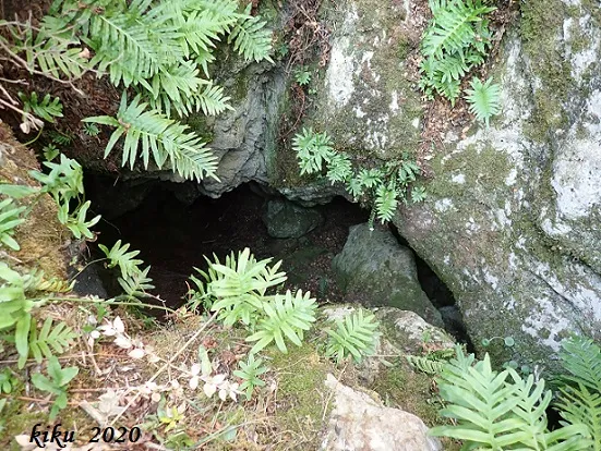 Photographie de OSSOS NORD, CAU DELS (1 sur 3)