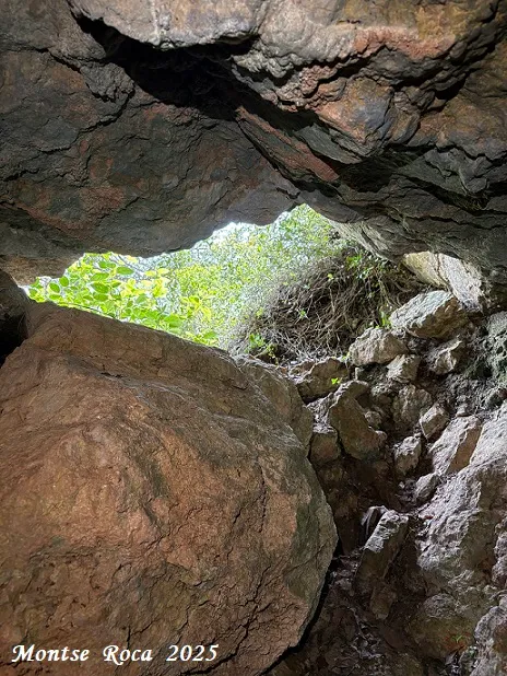 Photograph of QUATRE GATS, COVA DELS (5 of 5)