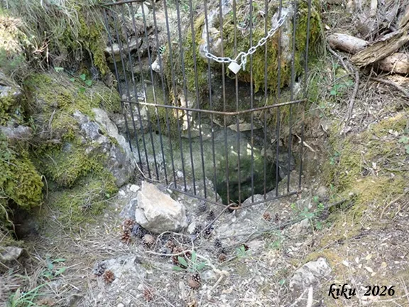 Fotografia de BRUGAL, COVA DEL (2 de 12)