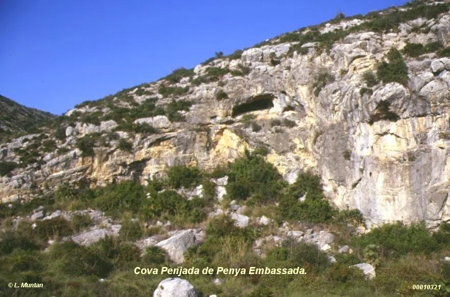 Fotografía de PENJADA DE PENYA EMBASSADA, COVA (2 de 2)