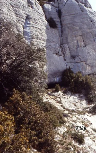 Fotografia de MONTARDIT, COVA DE (2 de 5)