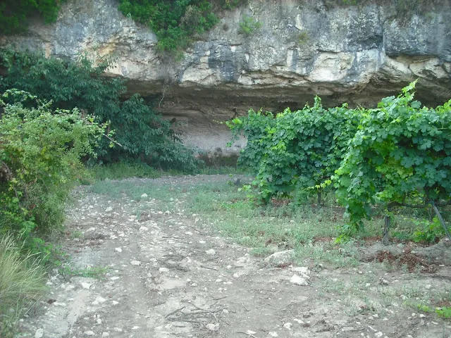 Fotografia de LLARGA, COVA (3 de 3)