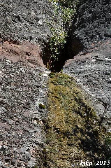 Fotografía de SOT DE LA TEULA, FORAT DEL (2 de 3)