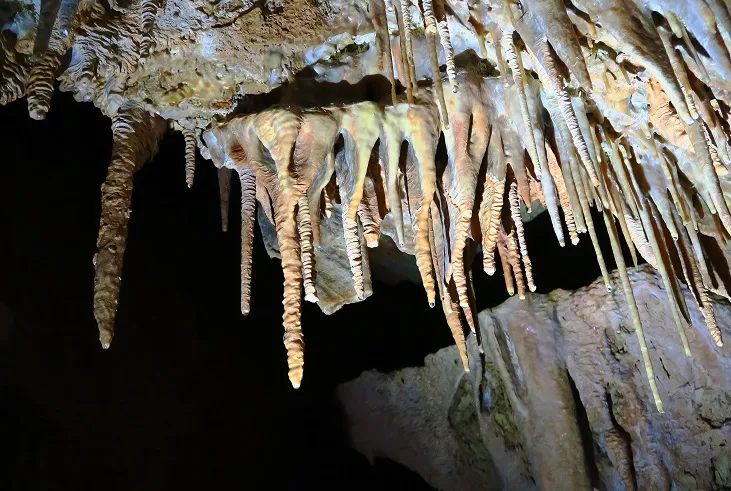 Fotografia de CAN RIGOL Nº 2, COVA DE (9 de 11)