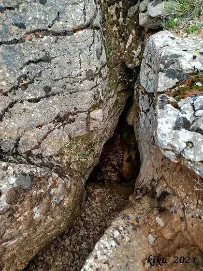 Fotografia de CAMÍ NOU, FORAT DEL (2 de 4)