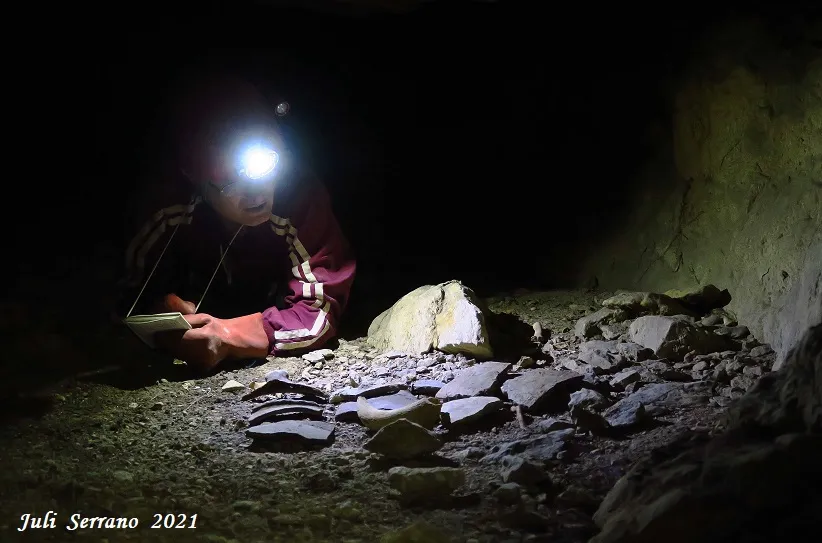 Fotografia de PEIXET, COVA D'EN (12 de 35)