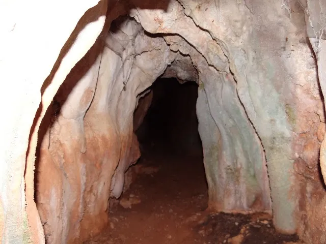 Fotografía de CINGLE DELS ÒBITS, COVA DEL (3 de 3)