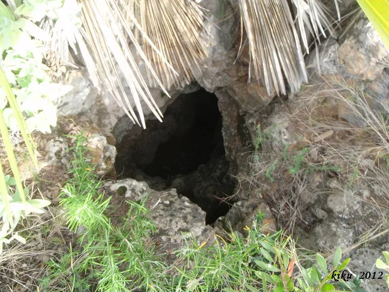 Fotografia de PALMA, AVENC DE LA (4 de 4)