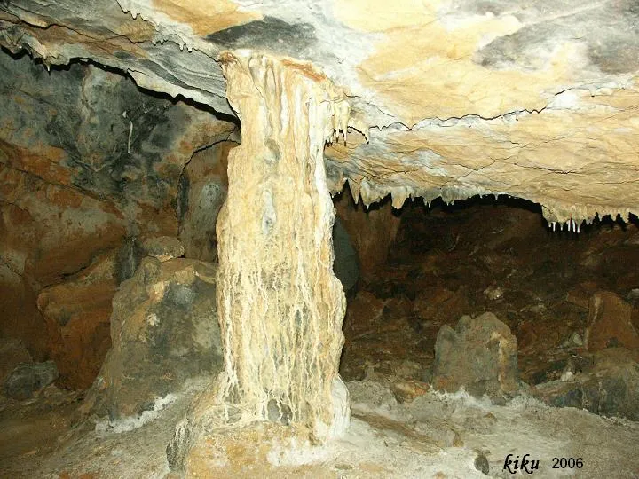 Photographie de NEGRE DE BÓIXOLS, FORAT (4 sur 6)