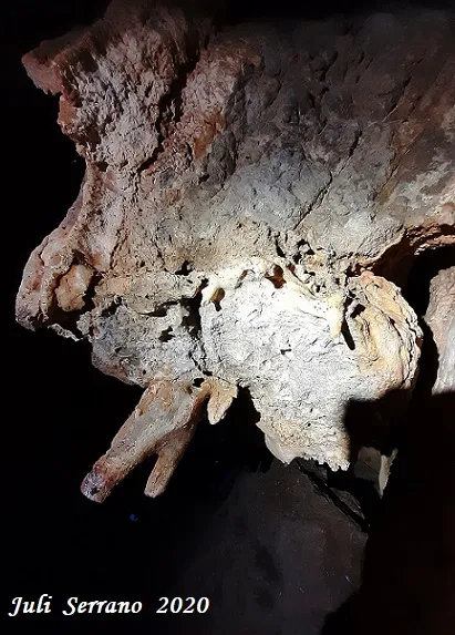 Fotografia de CARENA DEL MAS, AVENC DE LA (7 de 8)