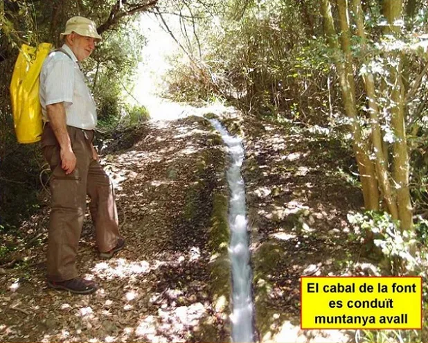 Photographie de FONT CALENTA, COVA DE LA (6 sur 6)