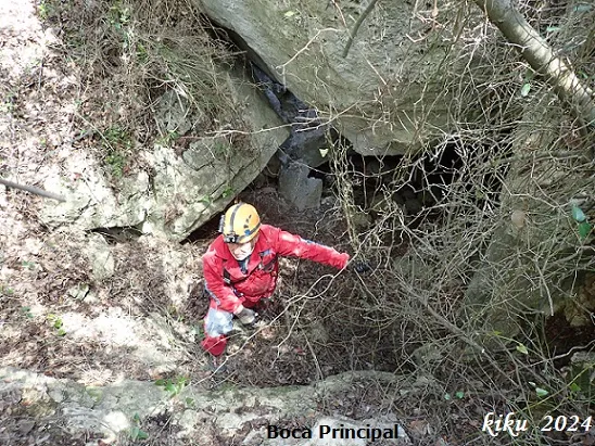 Fotografia de MATA, COVA D'EN (1 de 13)