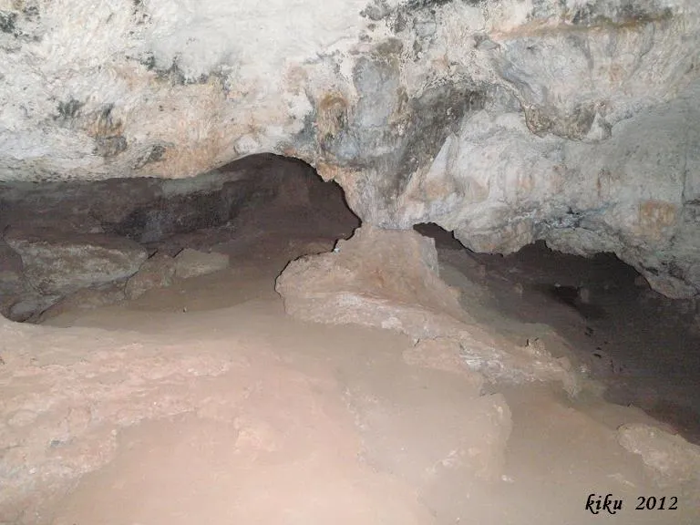 Photographie de BOLET, COVA DEL (5 sur 8)