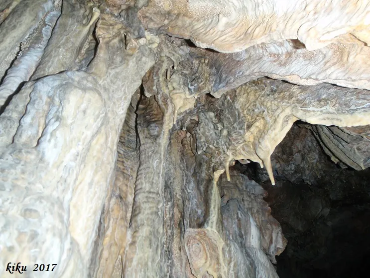 Fotografia de FOSCA DE VILANOVA, COVA (5 de 9)