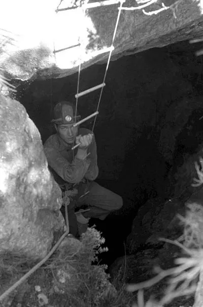 Photograph of ESMENADOR I DEL TOSSAL DEL JONC, AVENCS DE L' (3 of 7)