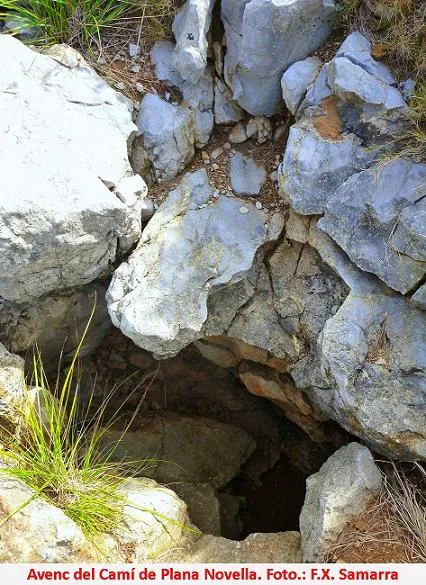 Photograph of CAMÍ DE PLANA NOVELLA, AVENC DEL (2 of 3)