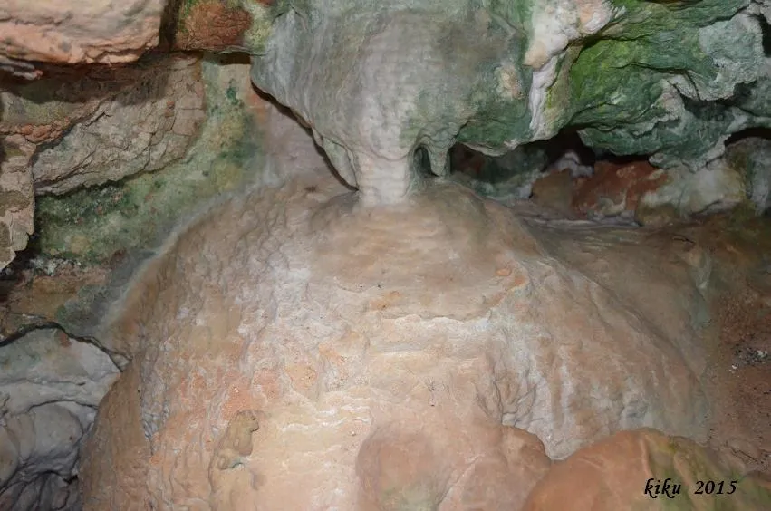 Fotografia de XIRICO, COVA (6 de 7)