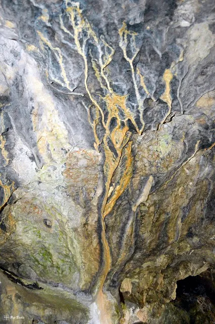 Fotografia de PIGOTOSA, COVA (4 de 4)