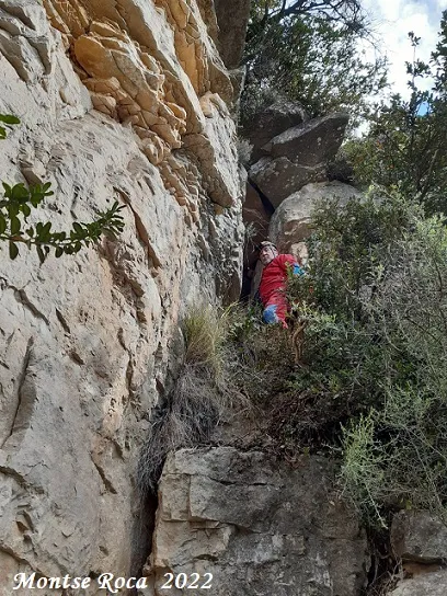 Fotografia de ENCINGLERAT, FORAT (1 de 8)
