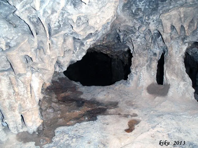 Fotografia de GARROFET, COVA DEL (6 de 8)