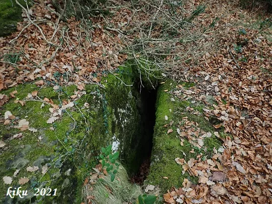 Fotografia de CENSURA, BORA DE LA (1 de 3)