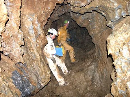 Fotografia de FONTSECA, COVA DE (3 de 4)