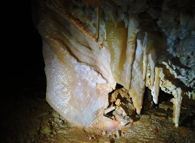 Fotografia de CAN RIGOL Nº 2, COVA DE (5 de 11)