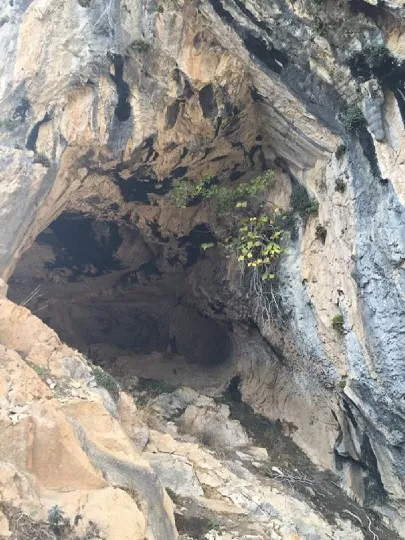 Fotografia de TRABUCAIRES, COVA DELS (3 de 5)