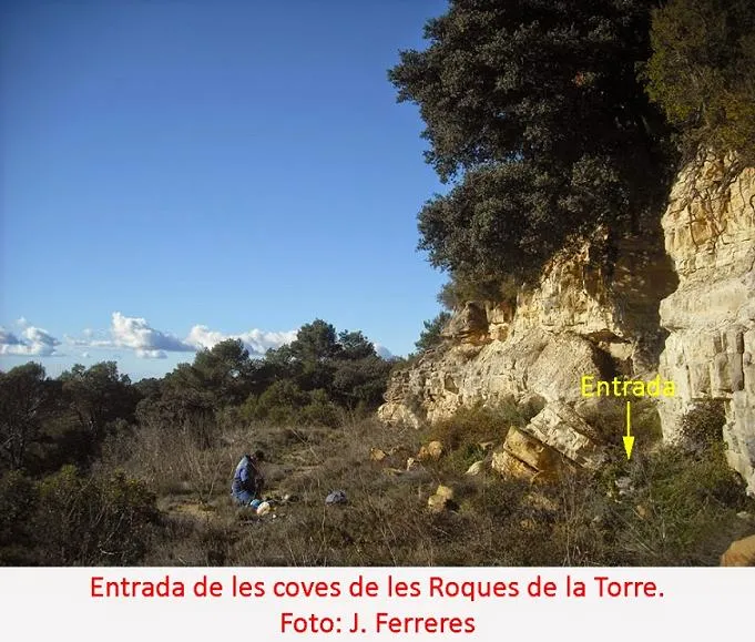 Fotografia de ROQUES DE LA TORRE, COVA DE LES (1 de 4)