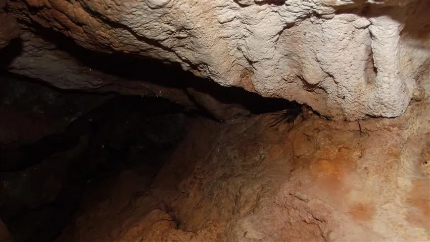 Photographie de AGULLA DEL CELLEROT, COVA DE L' (2 sur 2)