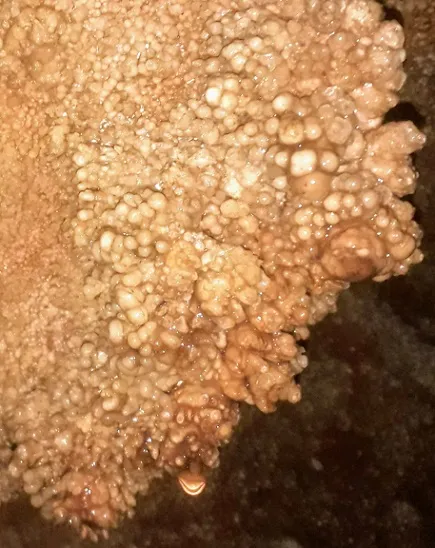 Fotografía de DOLÇA DE MARICEL, COVA (6 de 10)