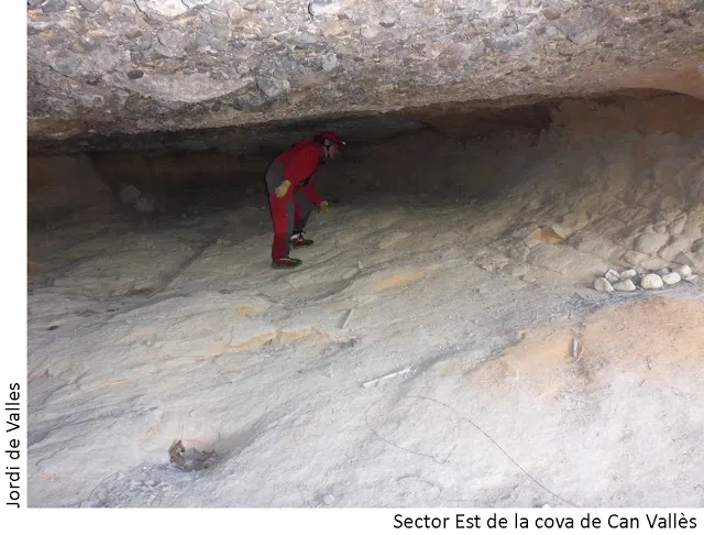 Fotografia de CAN VALLÈS, COVA DE (2 de 4)