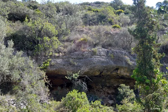 Fotografía de FRANJOLS, COVA DELS (1 de 4)