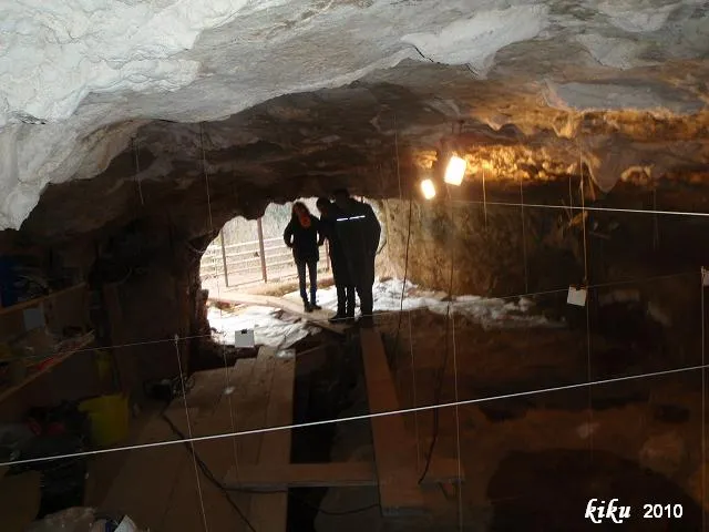 Fotografia de TEIXONERES, COVA DE LES (5 de 6)