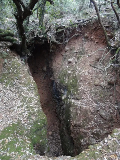 Fotografia de MORRAL DEL LLOP, AVENC DEL (1 de 1)