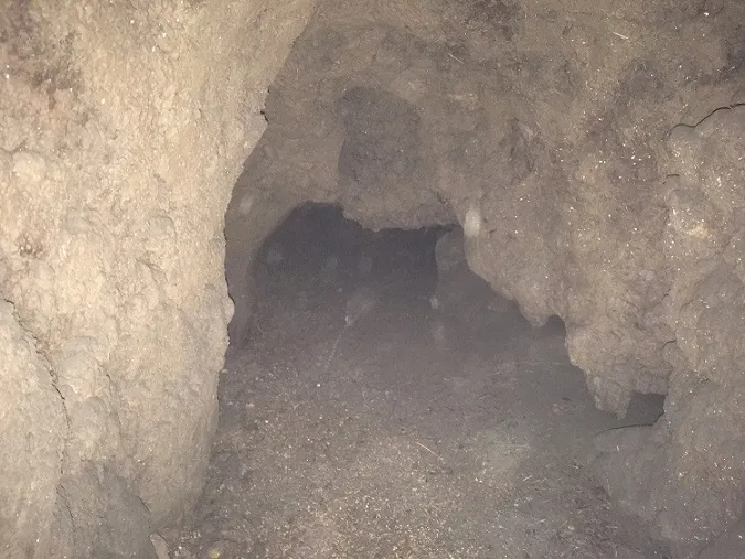Fotografia de GERBER, COVA DE (3 de 5)