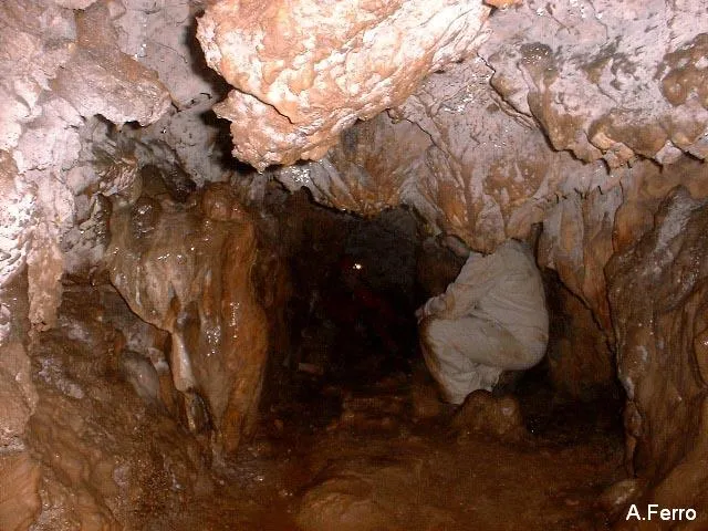 Fotografia de FONDAL, COVA DEL (4 de 4)