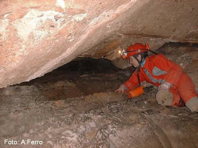 Photographie de SANTA AGNÈS, COVA DE (8 sur 8)