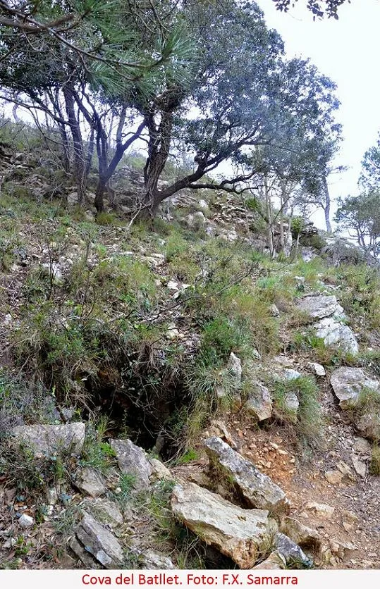 Photographie de BATLLET, COVA DEL (1 sur 2)