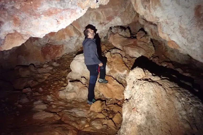 Fotografía de ESPELMA, COVA DE L' (2 de 6)