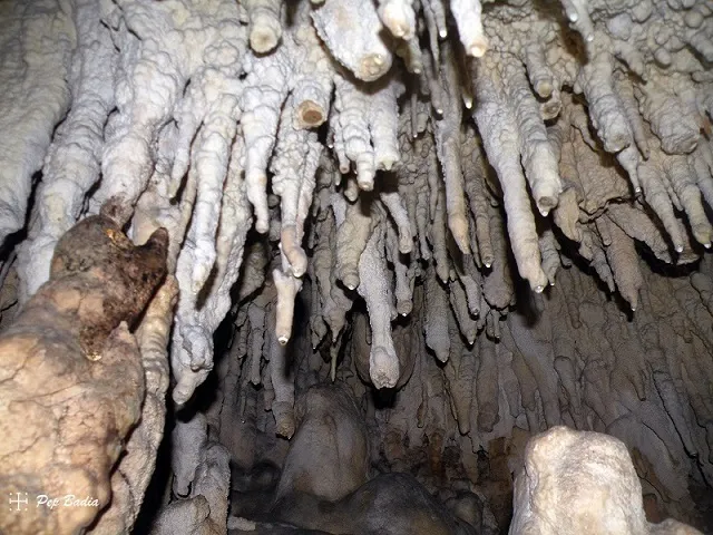 Fotografia de PI, COVA DEL (5 de 7)