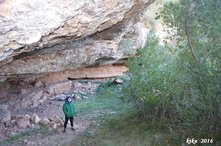 Fotografia de POTAU, COVA DEL (2 de 5)