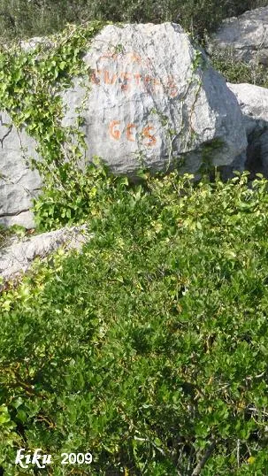 Fotografia de GUSTEMS, AVENC (1 de 3)