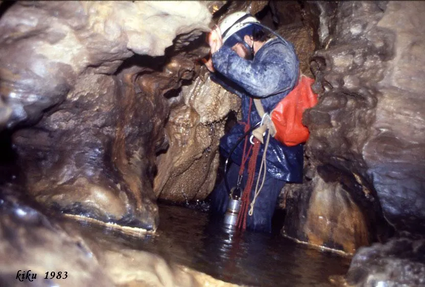 Photographie de SERRAT DEL VENT, COVA DEL (13 sur 20)