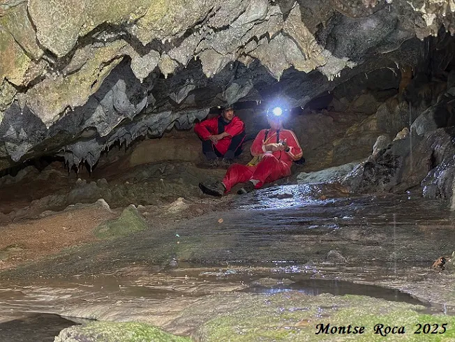 Fotografia de AIGUA DE CASELLES, COVES DE L' (6 de 13)