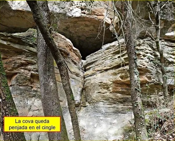 Fotografía de AVELLANA, COVA DE S' (1 de 5)